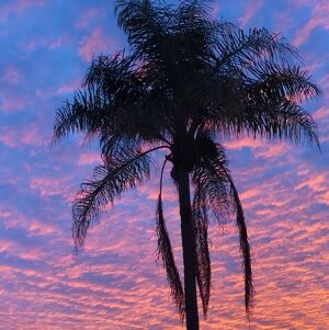 Meet your Posher, Noel